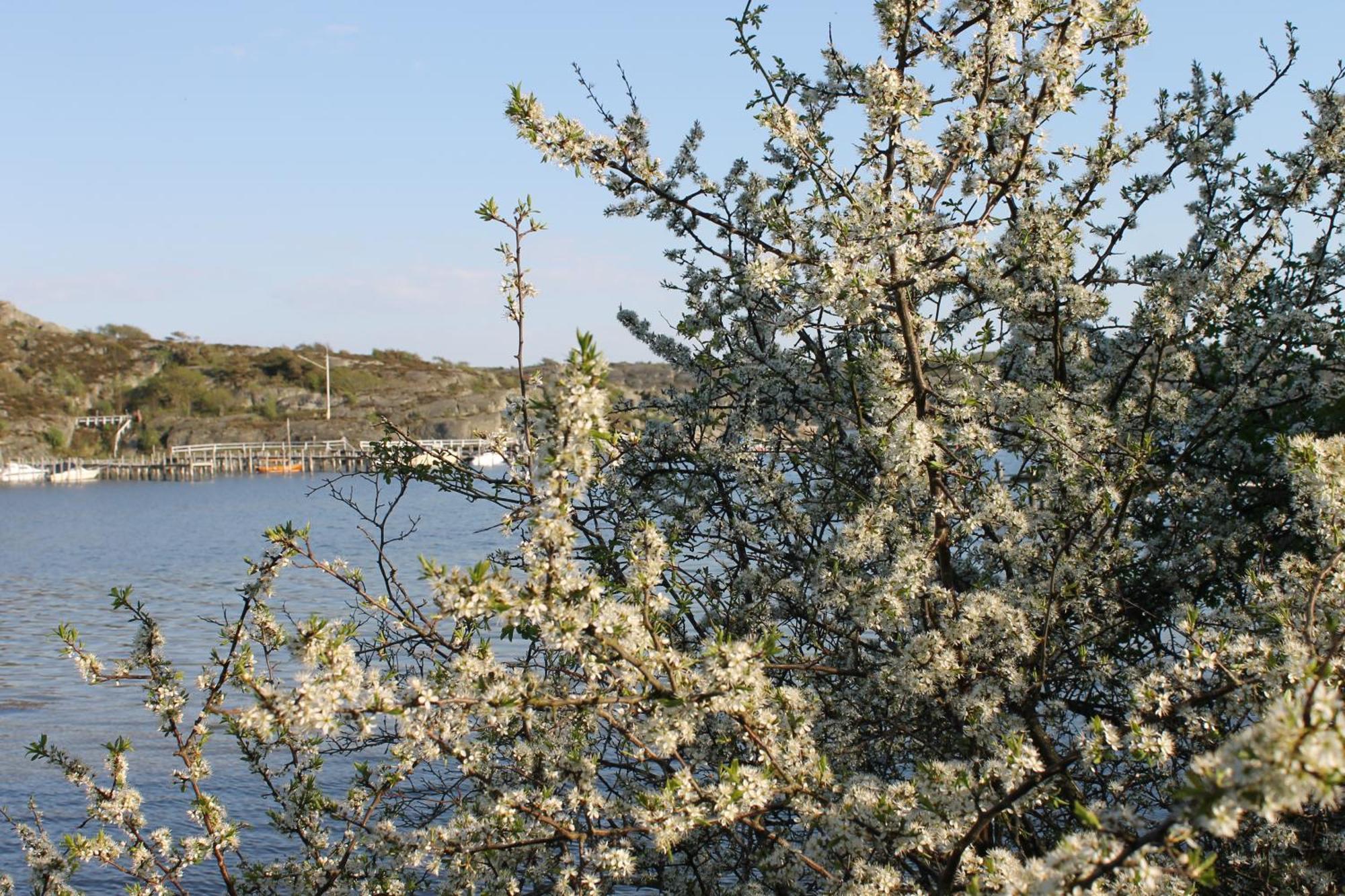 Tofta Herrgard Lycke Esterno foto